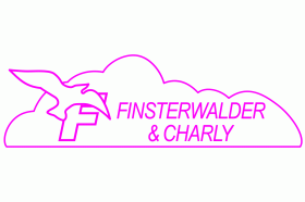 Finsterwalderイメージ画像