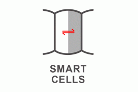 SMART CELLS