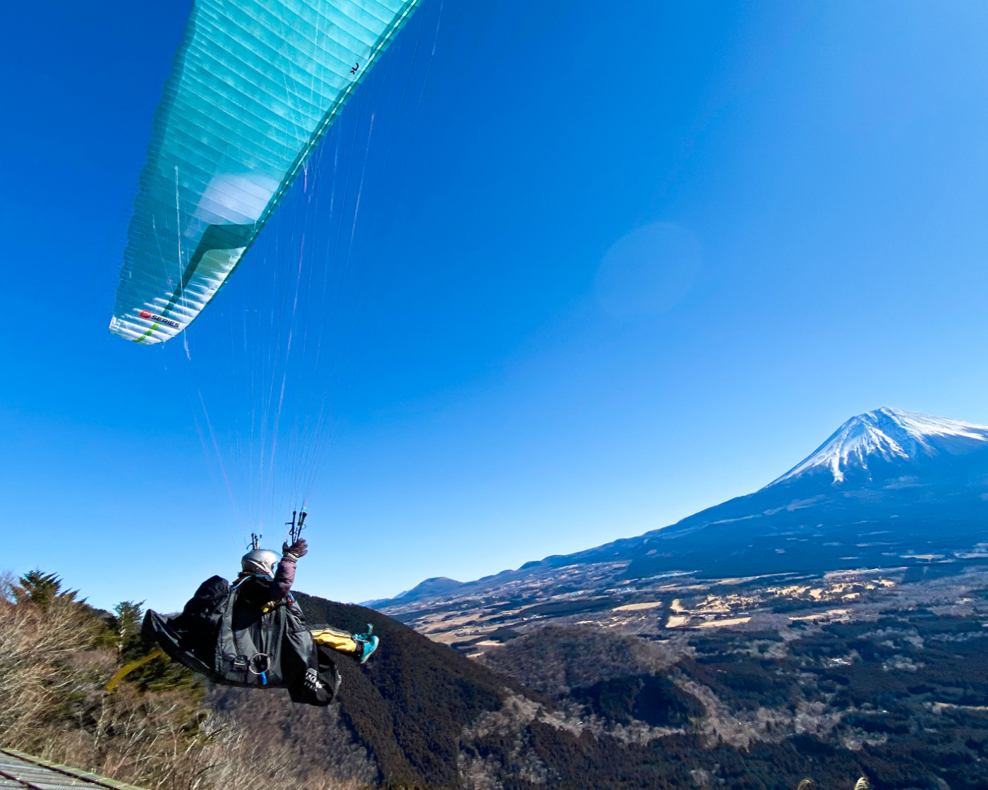 e-ラーニングコンテンツ